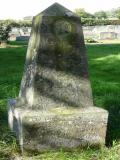 image of grave number 100735